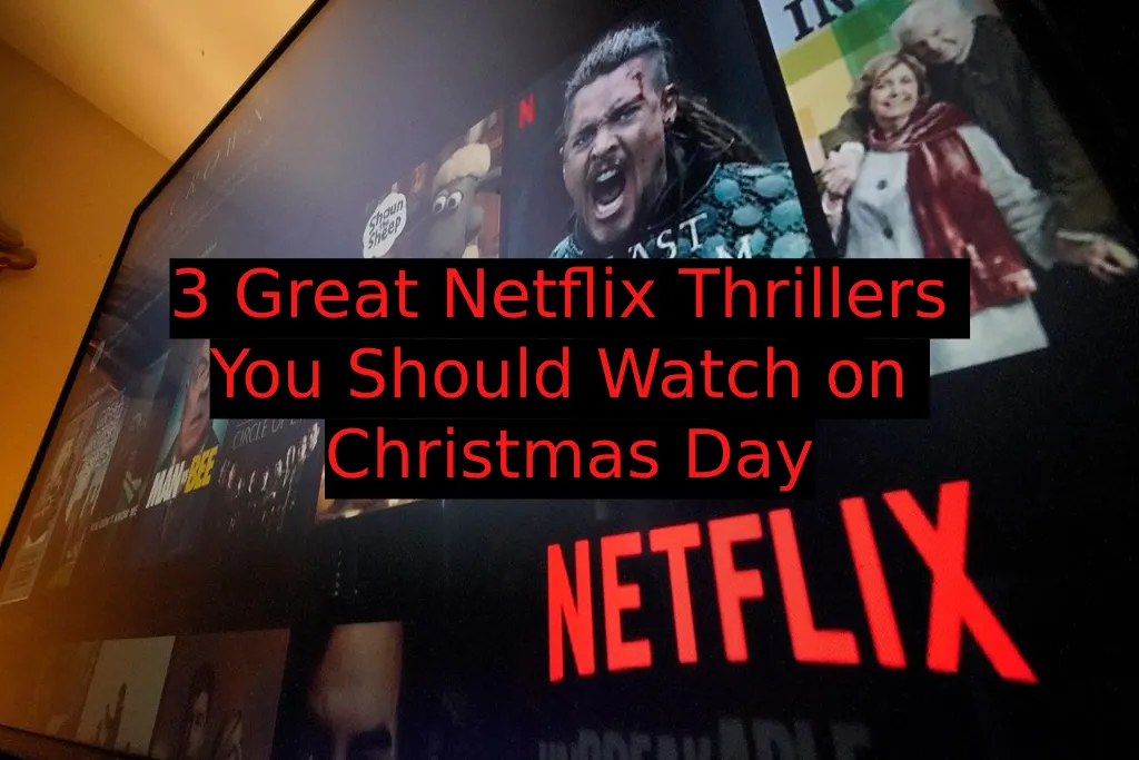 3 Great Netflix Thrillers You Should Watch on Christmas Day